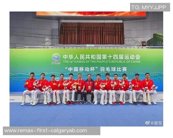 武汉羽毛球队全运会之路的辉煌成就与奋斗历程回顾