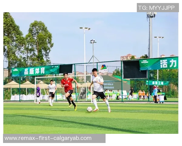 深圳乒乓球队的崛起与发展探索乒乓球运动的力量与魅力